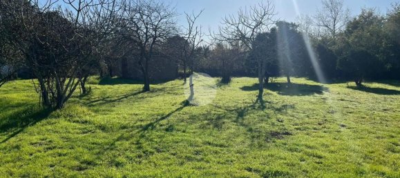 2000m² Land in Anzio, Italy No. 219469 6