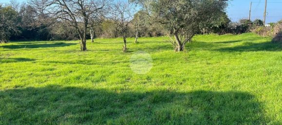 2000m² Land in Anzio, Italy No. 219469 3