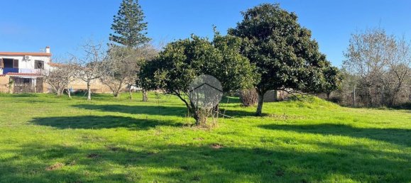 2000m² Land in Anzio, Italy No. 219469 10