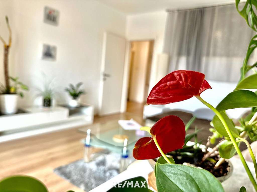 Квартира с 2 комнатами в Пунтигам, Австрия № 71060