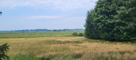 4-salle Maison de ville à Gustrow, Germany No. 315486 2