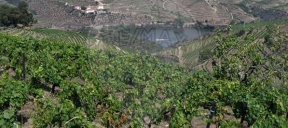 2 bedrooms House in Valenca do Douro, Portugal No. 169493 19