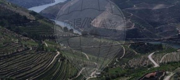 2 bedrooms House in Valenca do Douro, Portugal No. 169493 12