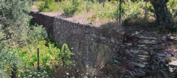 2 bedrooms House in Valenca do Douro, Portugal No. 169493 5