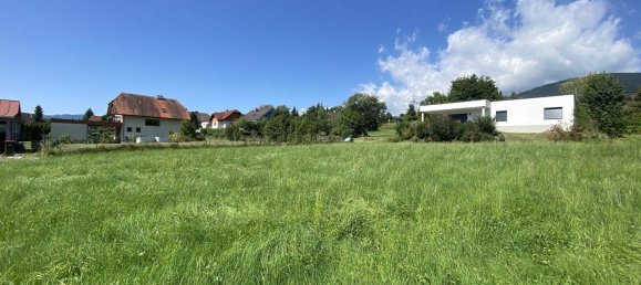  Land in Murtal, Austria No. 219505 4