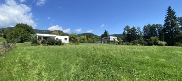 Land in Murtal, Austria No. 219505 6