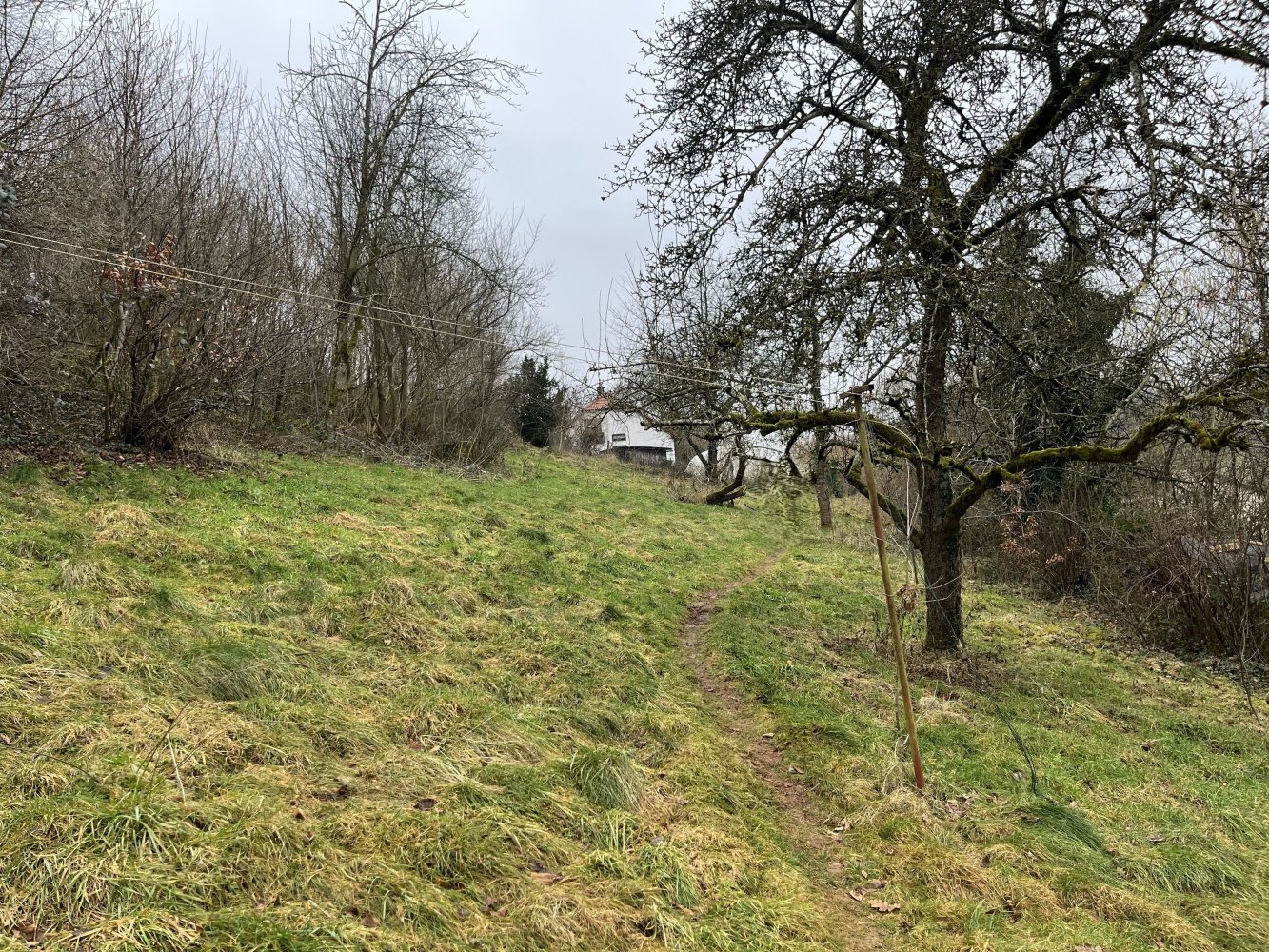  Land in Bad Kreuznach, Germany No. 63130