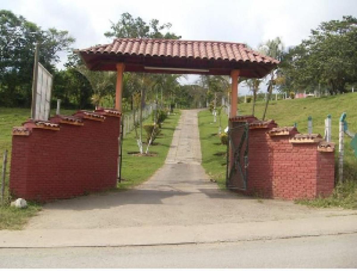 15 bedrooms House in Valle del Cauca, Colombia No. 4971