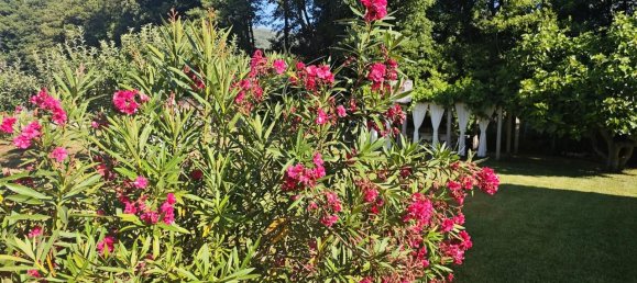 3 Schlafzimmer Haus in Caceres, Spain, Nr. 154168 21