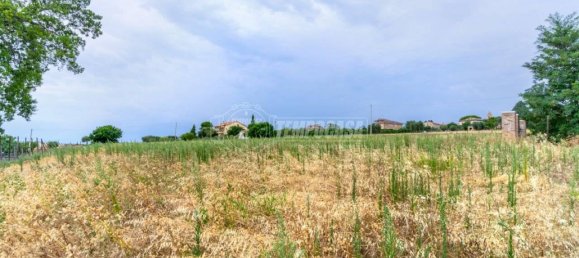 6000m² Land in Morrovalle, Italy No. 275280 7