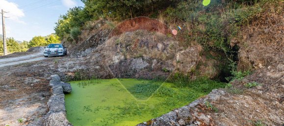 3 bedrooms House in Celorico de Basto, Portugal No. 43787 14