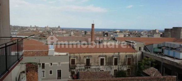 Квартира с 3 спальнями в Катания, Италия № 202214 6