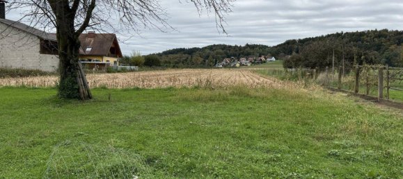 Дом с 4 комнатами в Ферниц-Меллах, Австрия № 49611 5