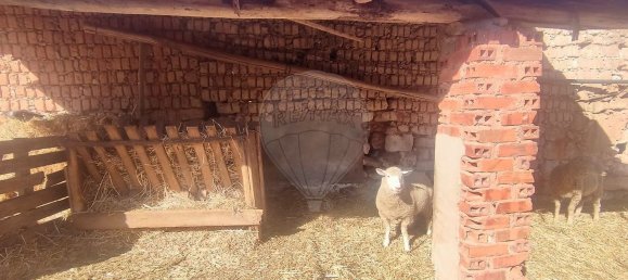 3 bedrooms House in Alcobertas, Portugal No. 188674 10