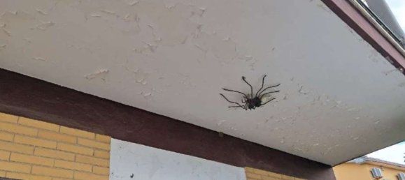 2-salle Maison à Ardea, Italy No. 188007 24