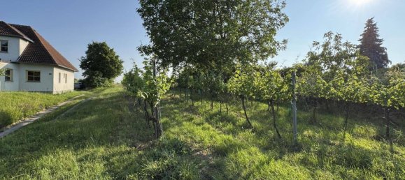  Land in Fels am Wagram, Austria No. 144273 2