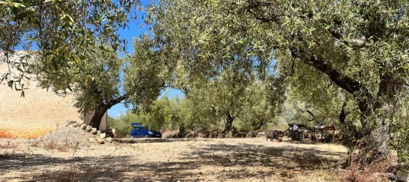 Дом с 1 спальней в Санта-Барбара, Испания № 158507 5