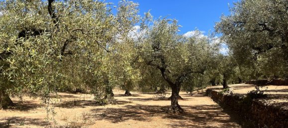 Дом с 1 спальней в Санта-Барбара, Испания № 158507 4