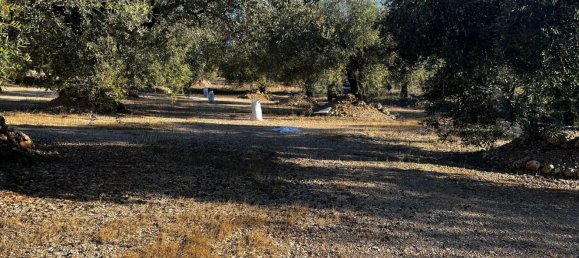 Дом с 1 спальней в Санта-Барбара, Испания № 158507 3