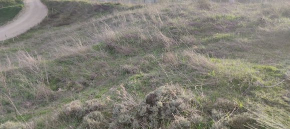 Земельный участок 11237м² в Эль Молар, Испания № 80196 4