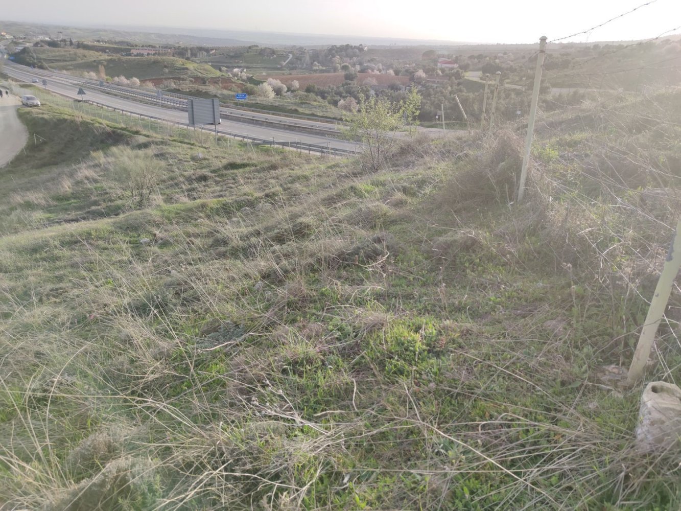 11237m² Land in El Molar, Spain No. 80196