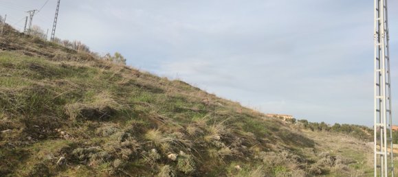 Земельный участок 11237м² в Эль Молар, Испания № 80196 2