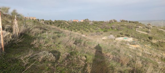 Земельный участок 11237м² в Эль Молар, Испания № 80196 5