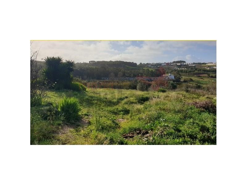 5080m² Land in Lourinha, Portugal No. 209148