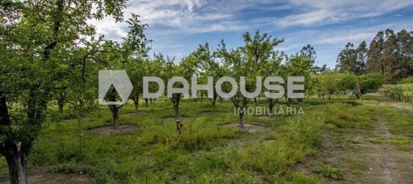 9243m² Land in Guimaraes, Portugal No. 55807 13