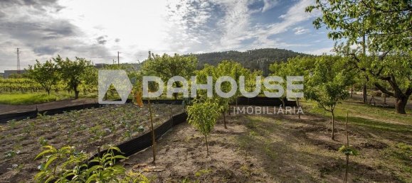 9243m² Land in Guimaraes, Portugal No. 55807 2