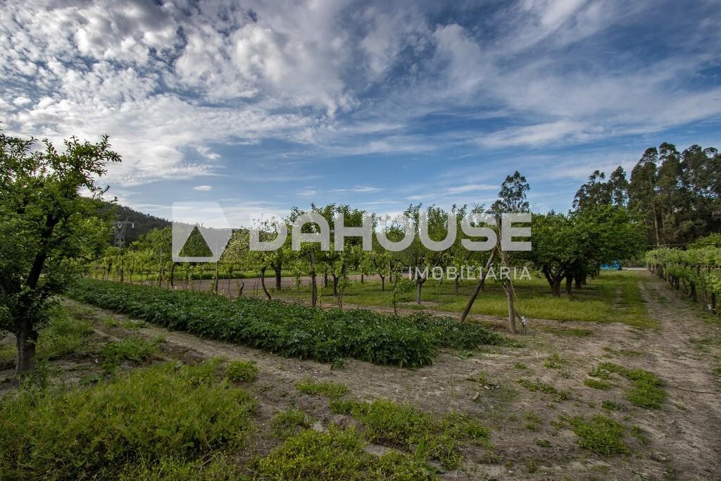 9243m² Land in Guimaraes, Portugal No. 55807