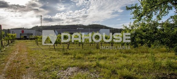 9243m² Land in Guimaraes, Portugal No. 55807 14