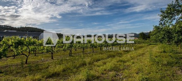 9243m² Land in Guimaraes, Portugal No. 55807 15