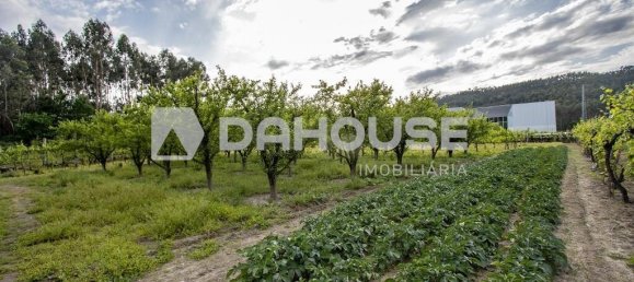 9243m² Land in Guimaraes, Portugal No. 55807 11