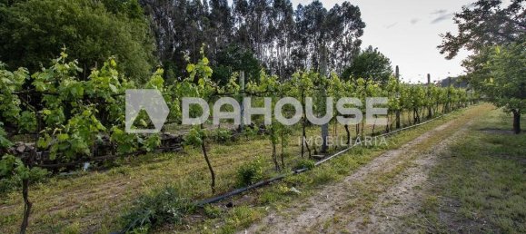 9243m² Land in Guimaraes, Portugal No. 55807 12