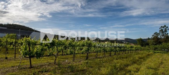 9243m² Land in Guimaraes, Portugal No. 55807 16