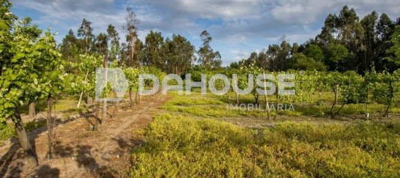 9243m² Land in Guimaraes, Portugal No. 55807 21