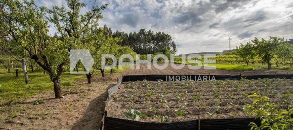 9243m² Land in Guimaraes, Portugal No. 55807 5