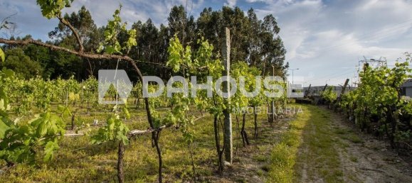 9243m² Land in Guimaraes, Portugal No. 55807 20