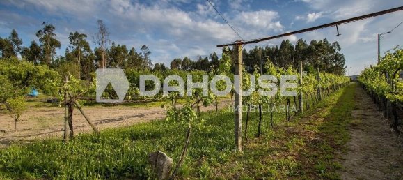 9243m² Land in Guimaraes, Portugal No. 55807 23