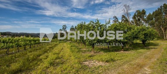 9243m² Land in Guimaraes, Portugal No. 55807 18