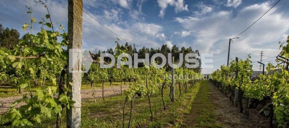 9243m² Land in Guimaraes, Portugal No. 55807 22