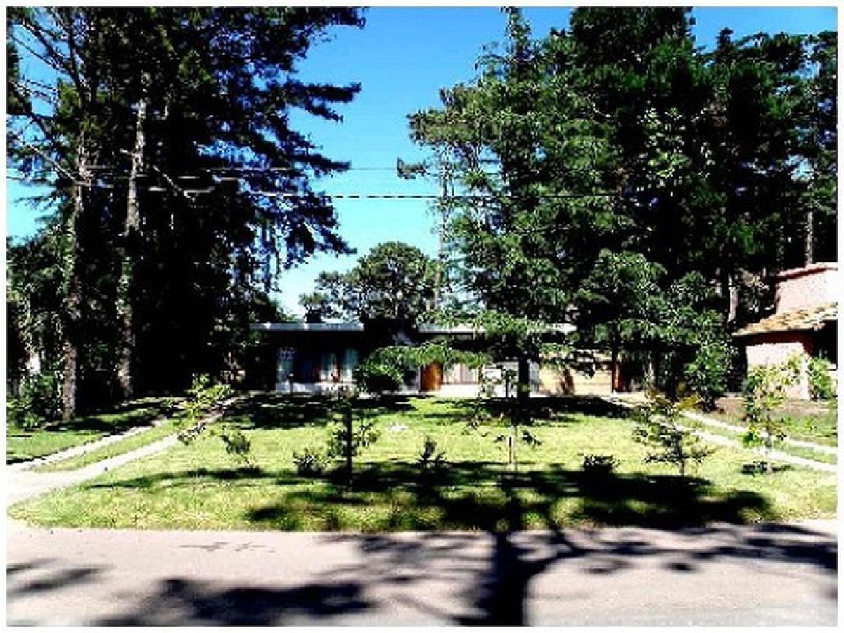 4 bedrooms House in Maldonado, Uruguay No. 7400