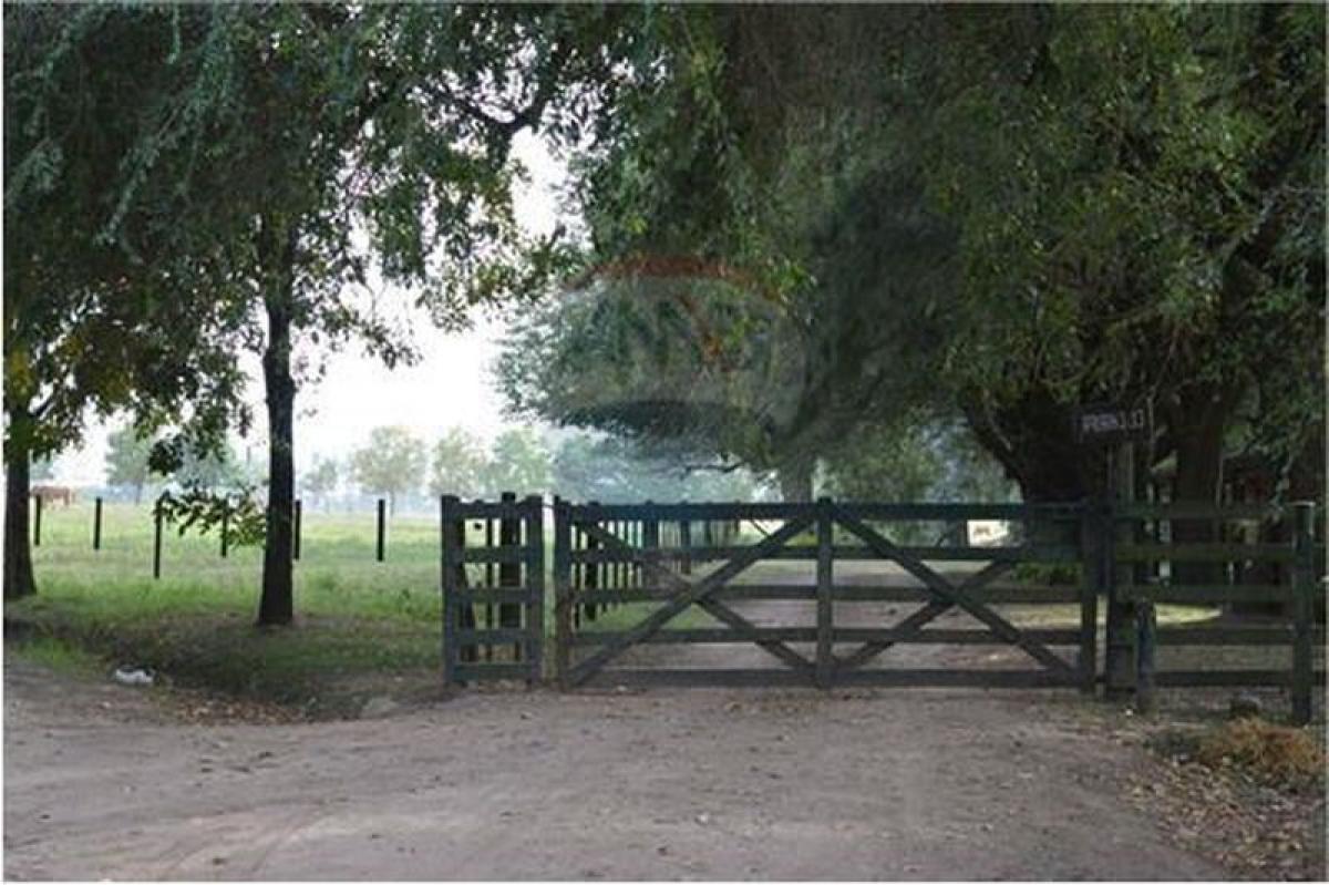 Terrain à Pilar, Argentina No. 33432