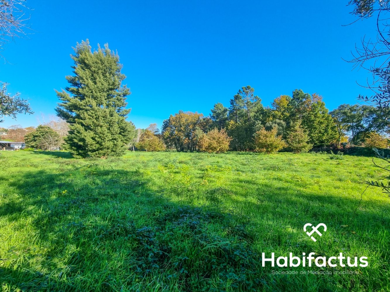 Grundstück in Canas de Santa Maria, Portugal, Nr. 75654