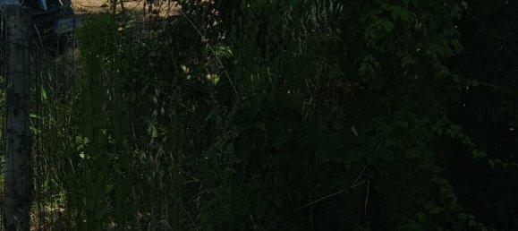 Casa de 4 habitaciónes en Camaiore, Italy No. 141246 5