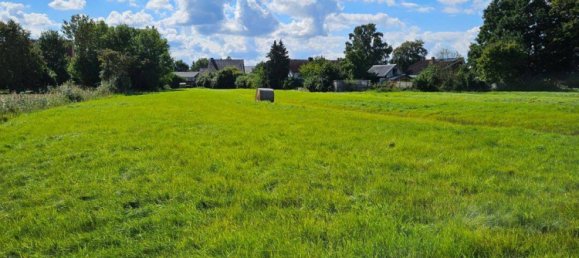  قطعة أرض في Harburg, Germany رقم 335613 2