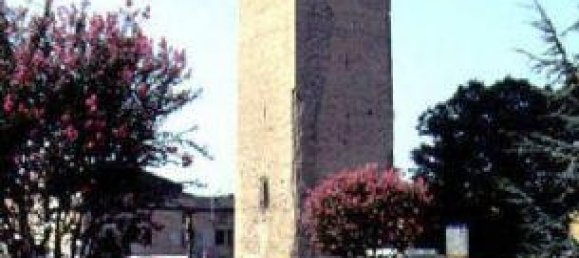 3260m² Land in Castelleone, Italy No. 67103 9