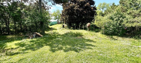 3 rooms Land in Neusiedl am See, Austria No. 167201 8