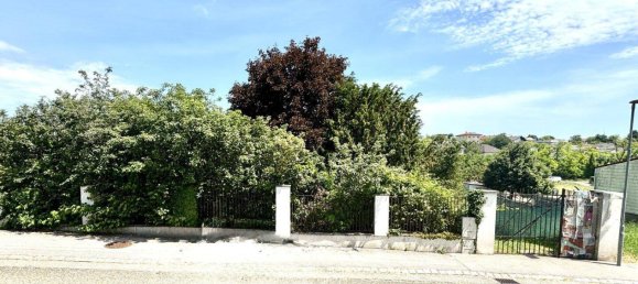 3 rooms Land in Neusiedl am See, Austria No. 167201 21